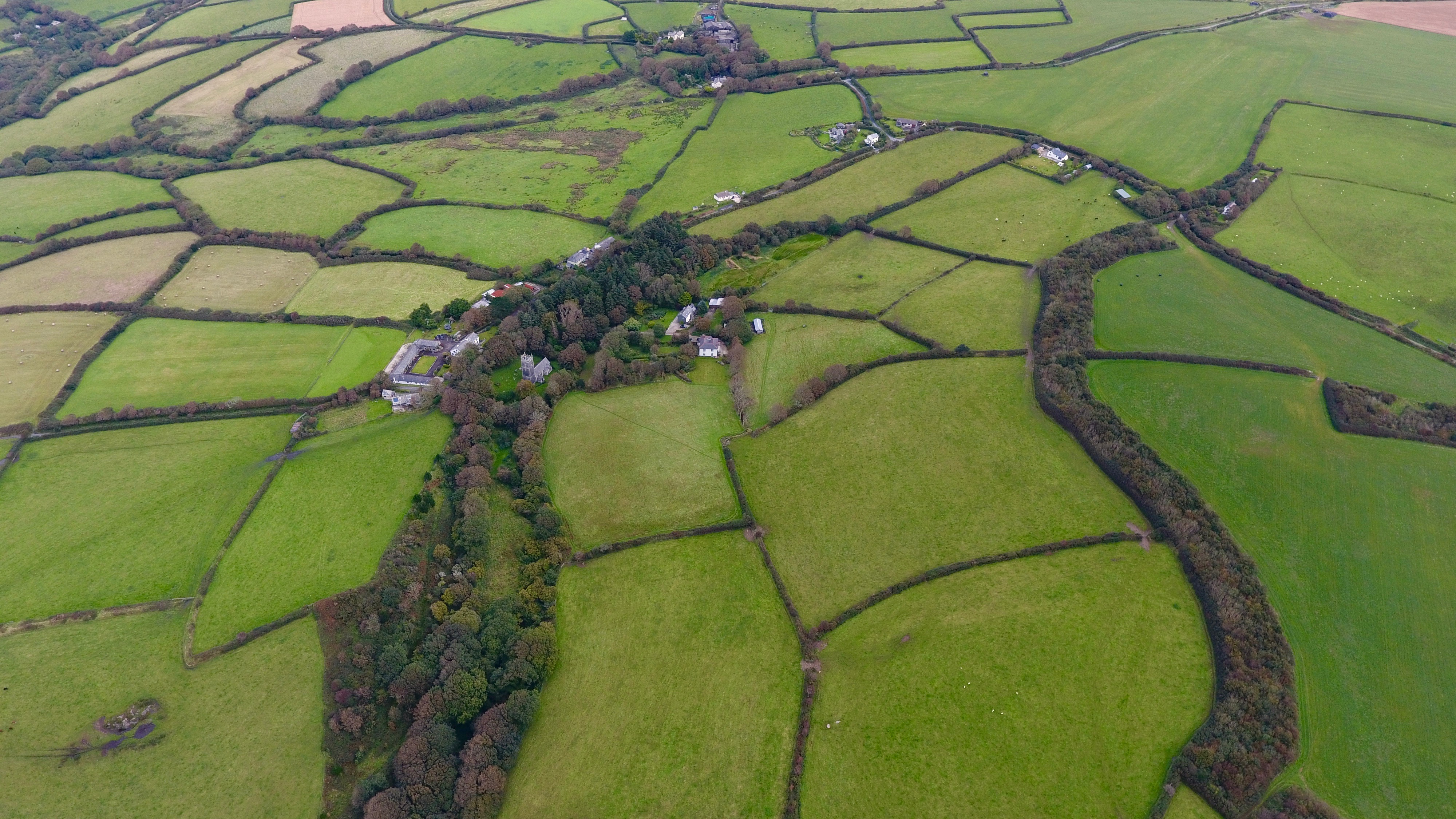 Species-rich grassland helping improve climate resilience through habitat creation.