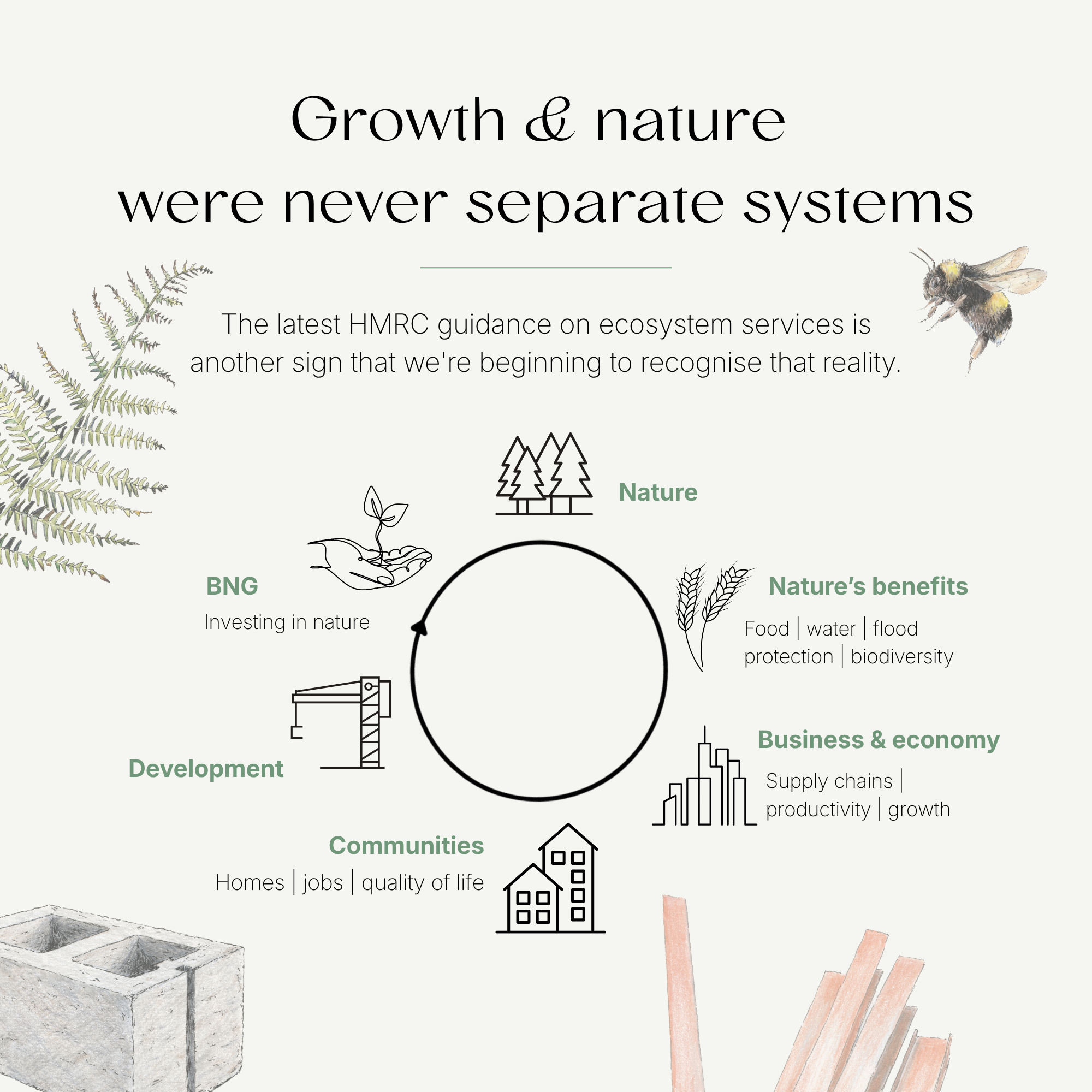 Healthy species-rich grassland demonstrating ecosystem services and natural capital.