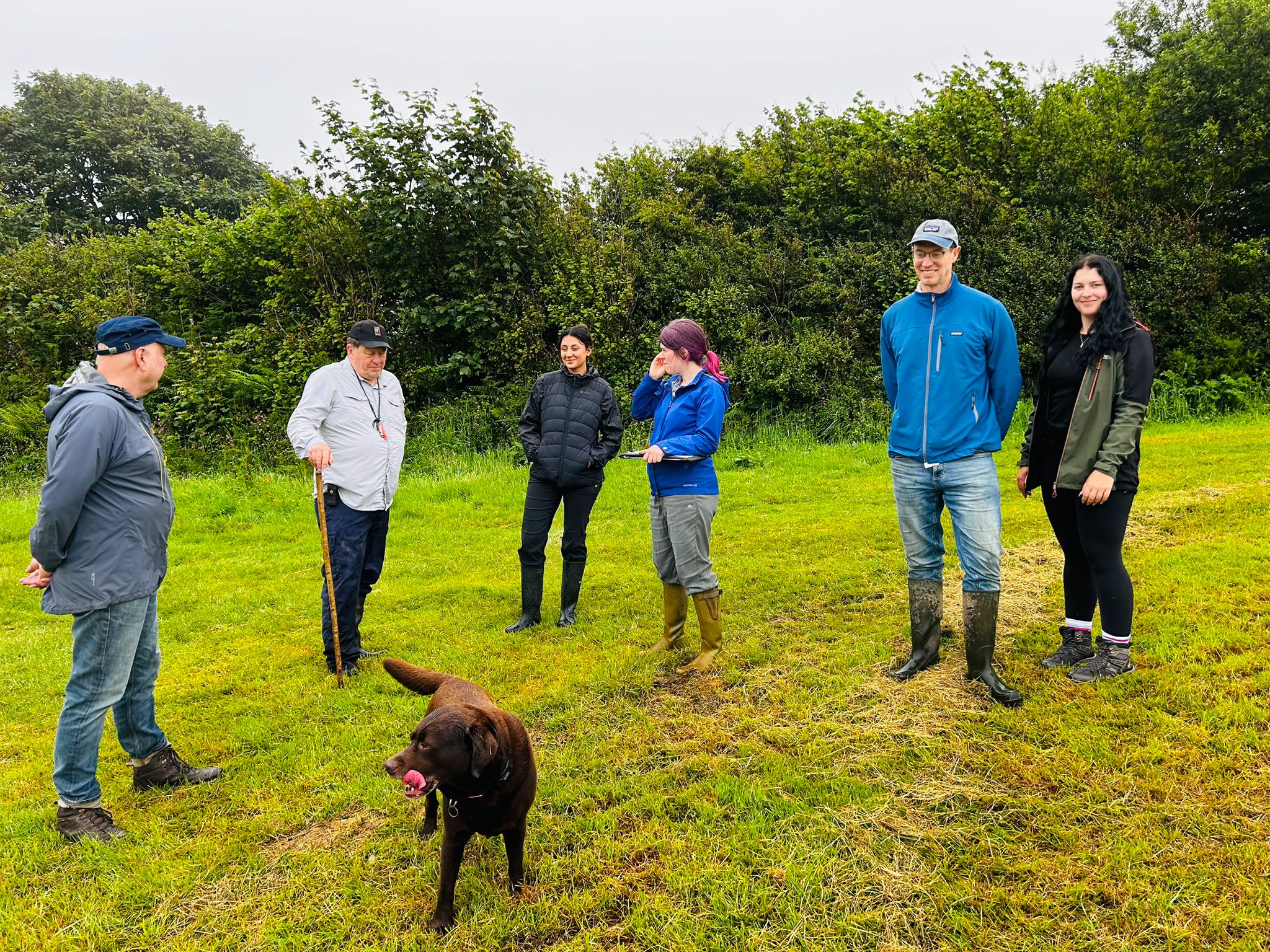Biofarm ecology team on site at Lesnewth Habitat Bank, Cornwall.